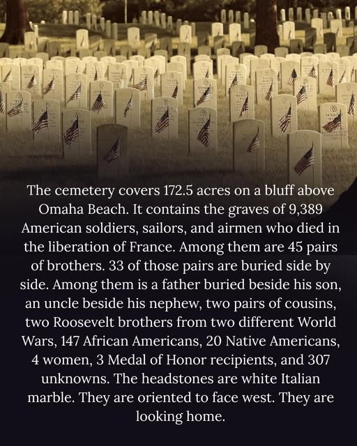 Azgal43026529's tweet image. #MemorialDay