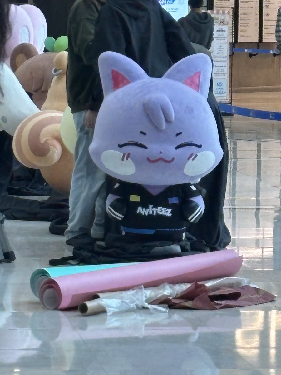 쫑리보 tweet media