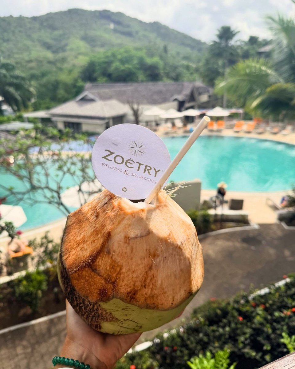 ZoetryResorts's tweet photo. Each turn reveals something new.

A path, a view, a moment that invites you to pause a little longer.

At #ZoëtryMarigotBay, exploration becomes a way of noticing more deeply: https://t.co/mjrz3Mbu3Y

🌴📸 elliejfowler https://t.co/z0KenccP9v