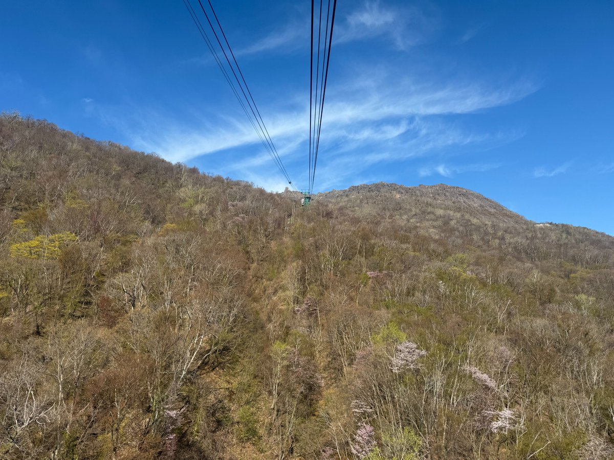 おはようございます！                
現在の有珠山の天気は晴☀山頂の気温は10℃  
今朝は真っ青な空が広がり、洞爺湖や羊蹄山が見事な姿を見せてくれています！！
サクラと新緑の若葉が春を感じさせてくれて、とても気持ちいいです！🌸

ロープウェイ🚡始発8:15～下り最終17:45
#観光 #観光スポット