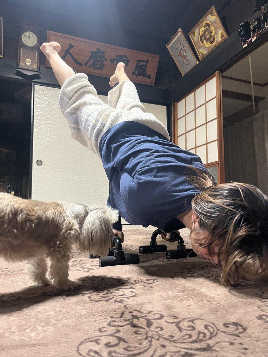 sLTLFgR96H4ZSTX's tweet image. 筋トレを見守りにきた監督(ｲｯﾇ)