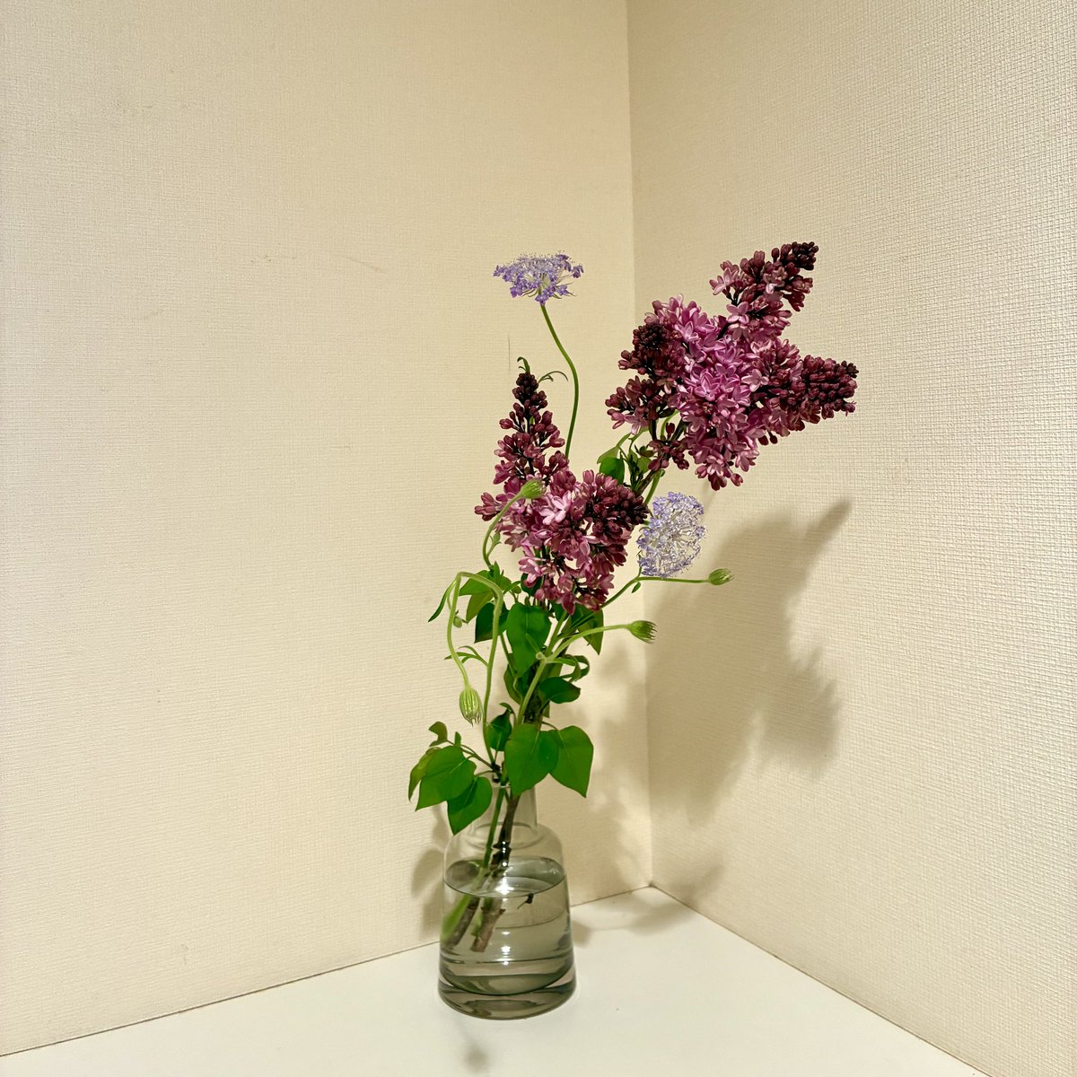 suppermoon2016's tweet image. おはようございます
金曜日です
5月になりました
雨が強く降っています
肌寒いくらいです
日々の気温差で
体調を崩さないようにしましょ

#flowerstagram #flowers #花のある暮らし #SMAP #私の_世界に一つだけの花