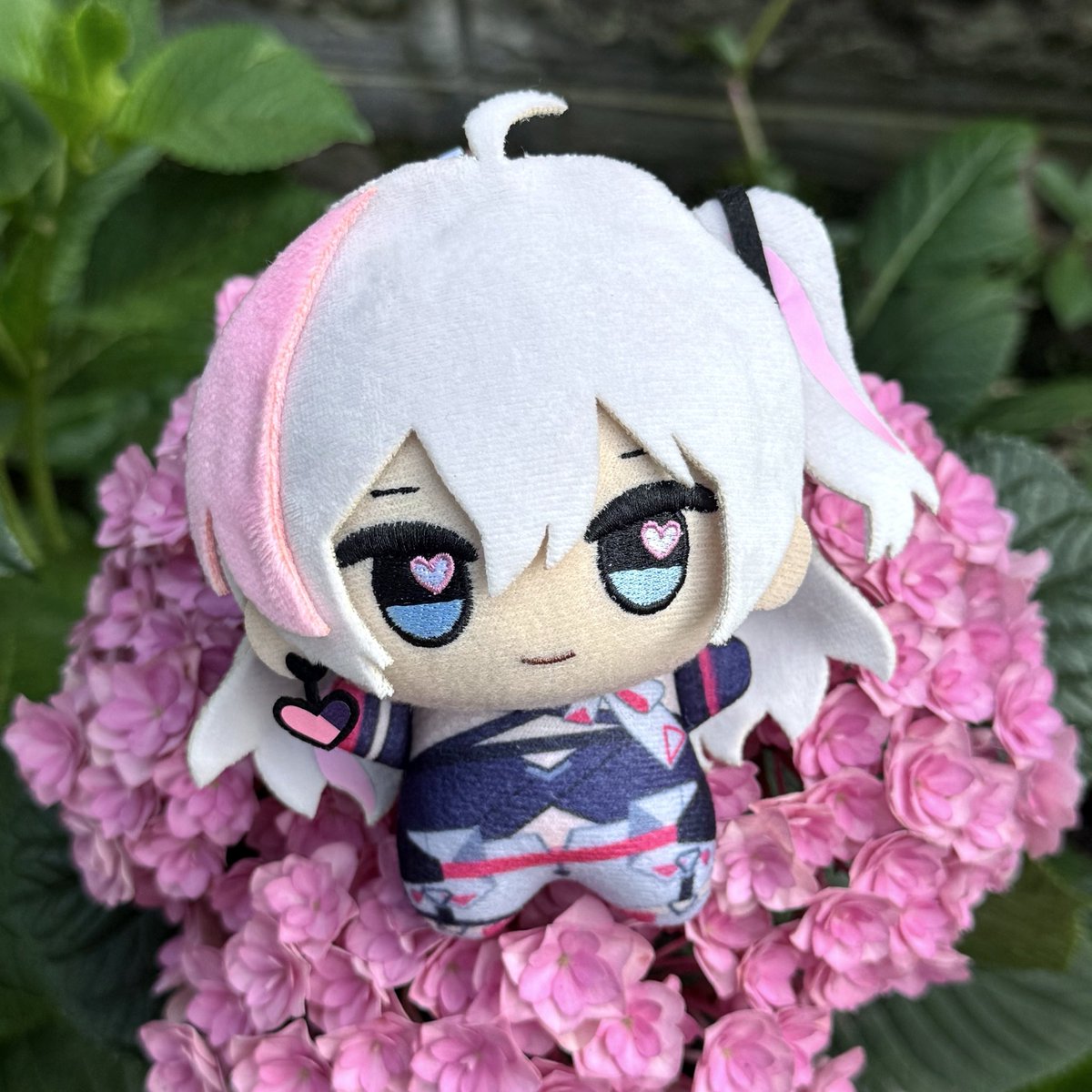 KAKU tweet media