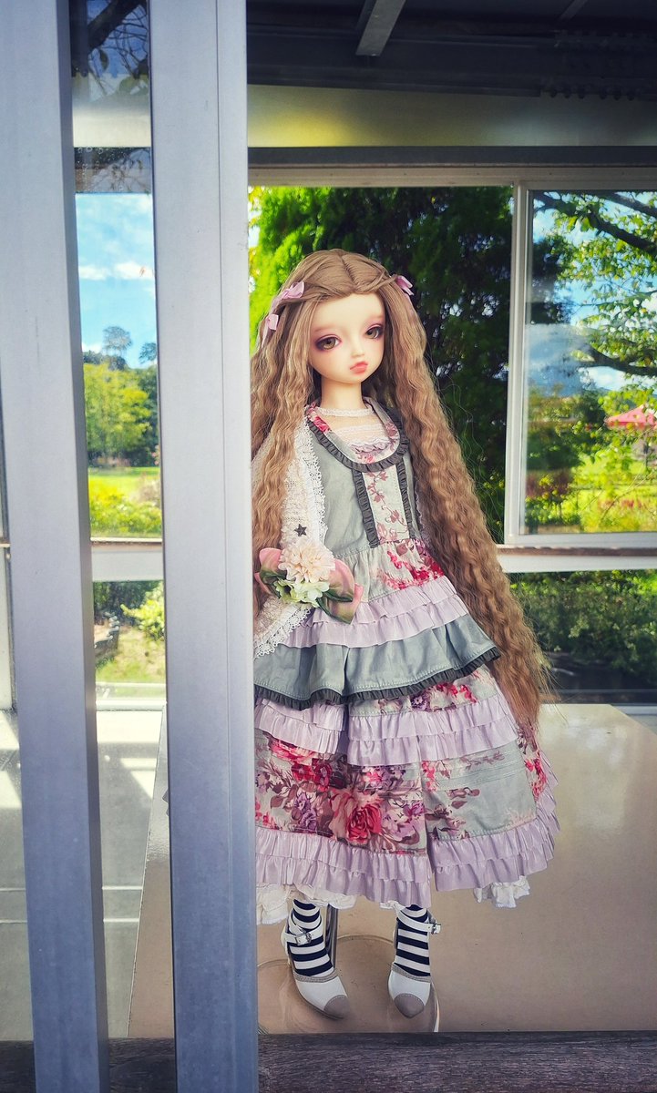 新緑のかがやきに癒されて🌱
今日から5月、新しい始まり✨
#おはドル