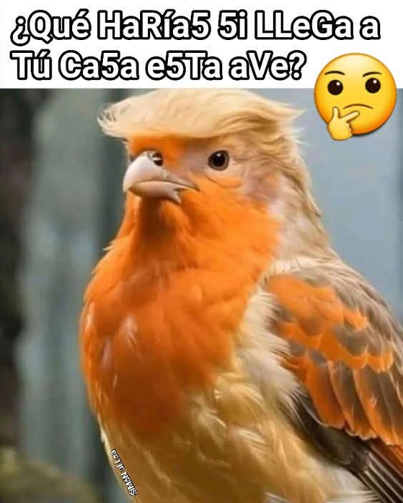 Marcela Quintero tweet media