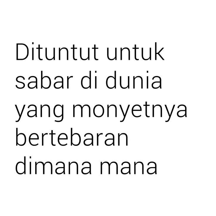 Aylin tweet media