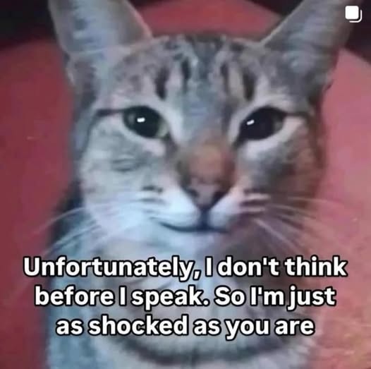 JaniceHughesLtd's tweet image. Friday Funny

#InvercargillBookkeeper #InvercargillBookkeeping #BusinessSupport #FriYay #FridayFunny