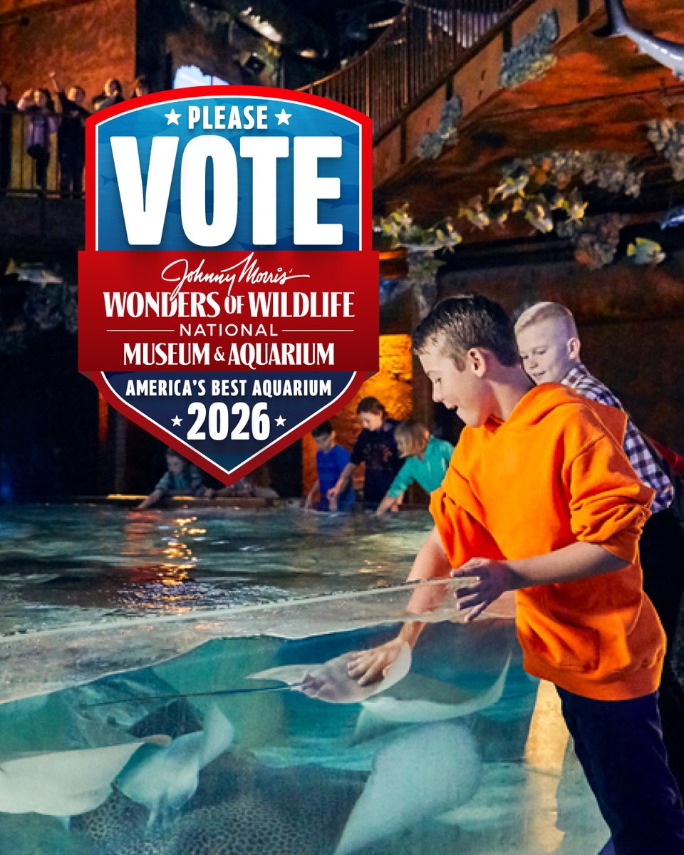 Bass Pro Shops tweet media