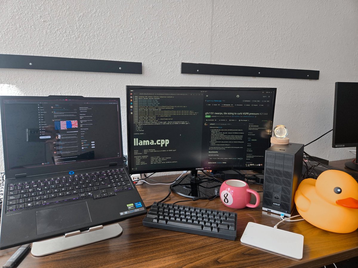 alexine 🏴‍☠️ tweet media