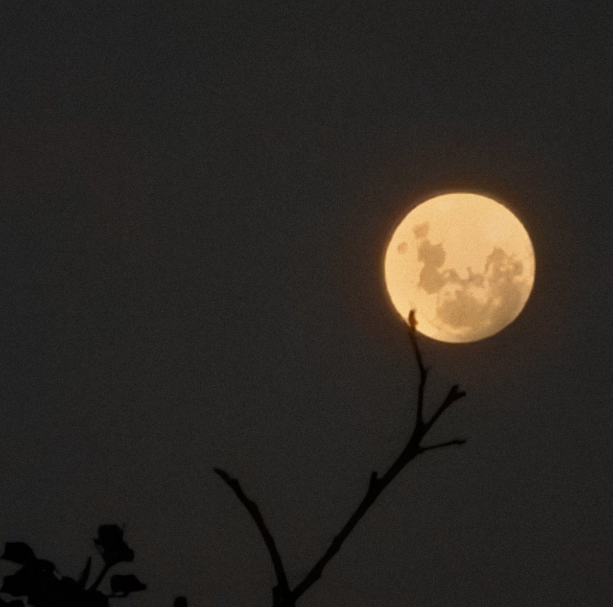 La luna 🌕 última noche de Abril ...