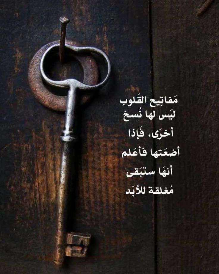 مدمن شاهي tweet media