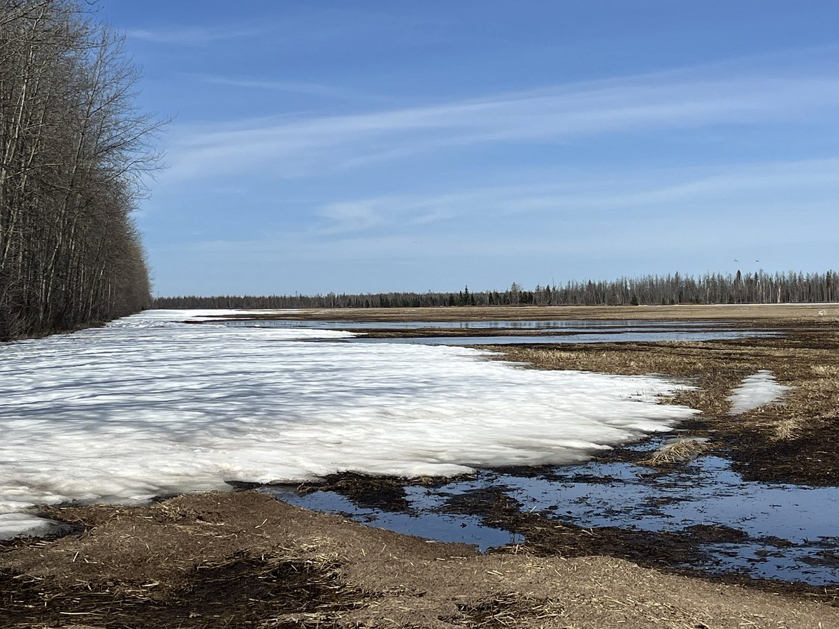 SStrydhorst's tweet image. Seems like we’re skipping spring altogether and heading straight into summer.

Good thing too, since we have a bit of snow and water to move before we can start #Plant26.

I’d say about 48 hours until mosquito season starts🙄.
#Agtwitter