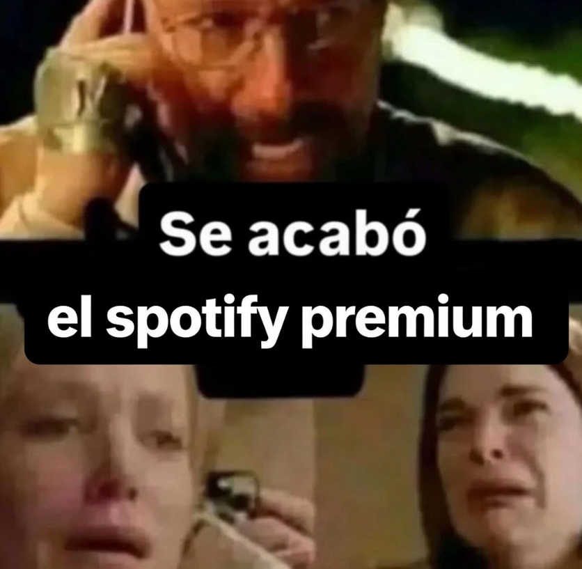 xPodri tweet media