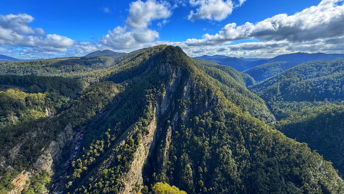 vivaladil's tweet photo. 🚶‍♂️ I’m taking part in Australia’s Biggest Bushwalk and today all donations are DOUBLED.

That means:
💚 $10 becomes $20  
💚 $25 becomes $50  
💚 $50 becomes $100  

DONATE and make TWICE the impact.

Donate here: https://t.co/RPSgGstEVd

#AustraliasBiggestBushwalk https://t.co/lsazLCsv0v