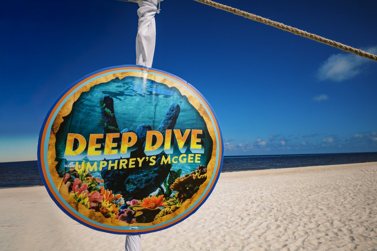 DeepDiveUM's tweet photo. Wish you were here. 🤘🏖️

(📸: @abbyfoxphoto) https://t.co/1HEN9iK4kT