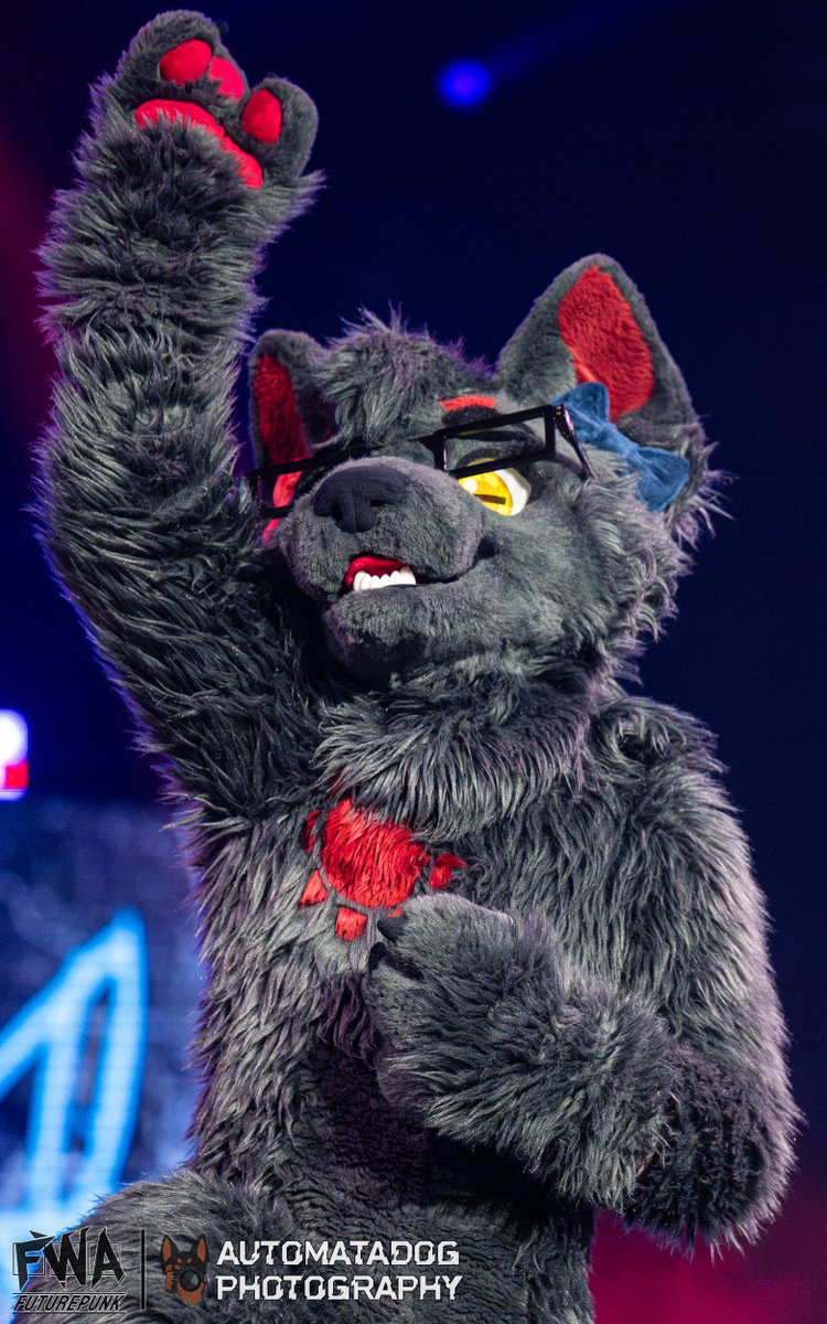 AutomataDog's tweet photo. Solitar during the fursuit dance competition at FWA25

🐾: @SolitarTheWolf
🪡: @MoonfullSuits 

#Furry #Fursuit #FWA https://t.co/JQLUInoIsF