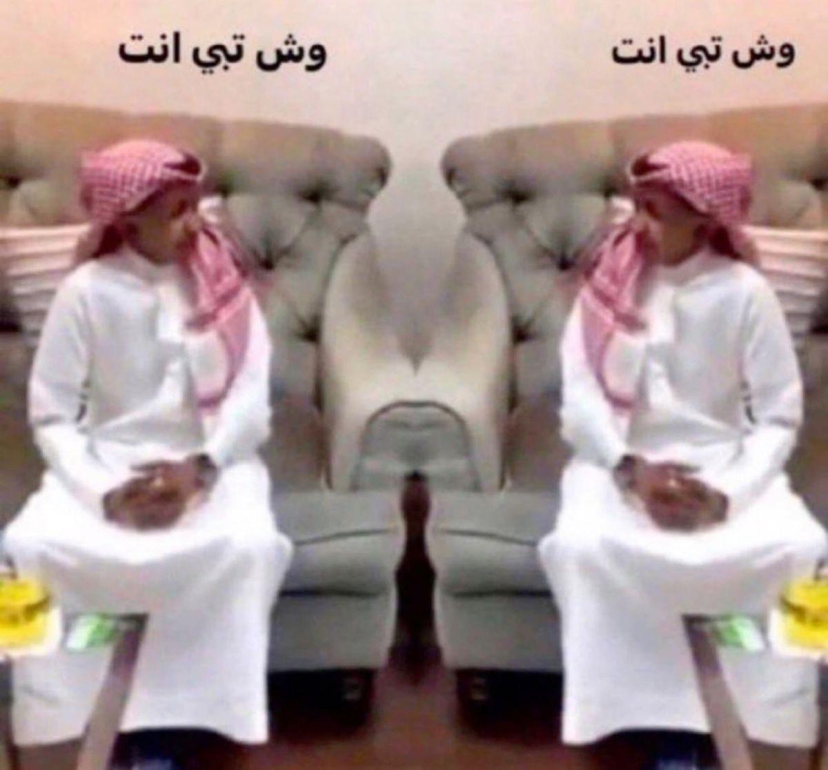 eilo | إيلو tweet media