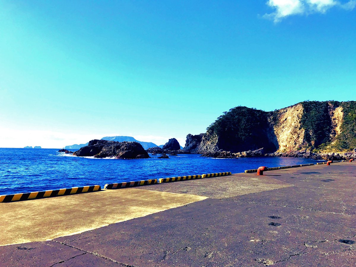 夏一（なついち） tweet media