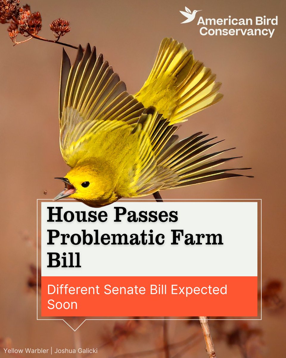 American Bird Conservancy tweet media