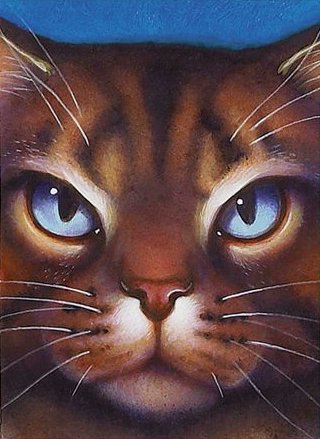 daily warrior cats pairs! tweet media