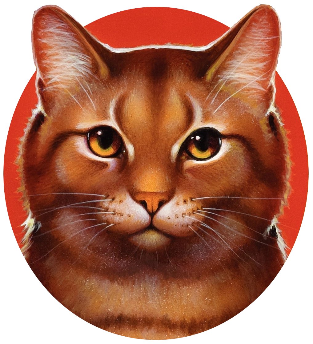 daily warrior cats pairs! tweet media