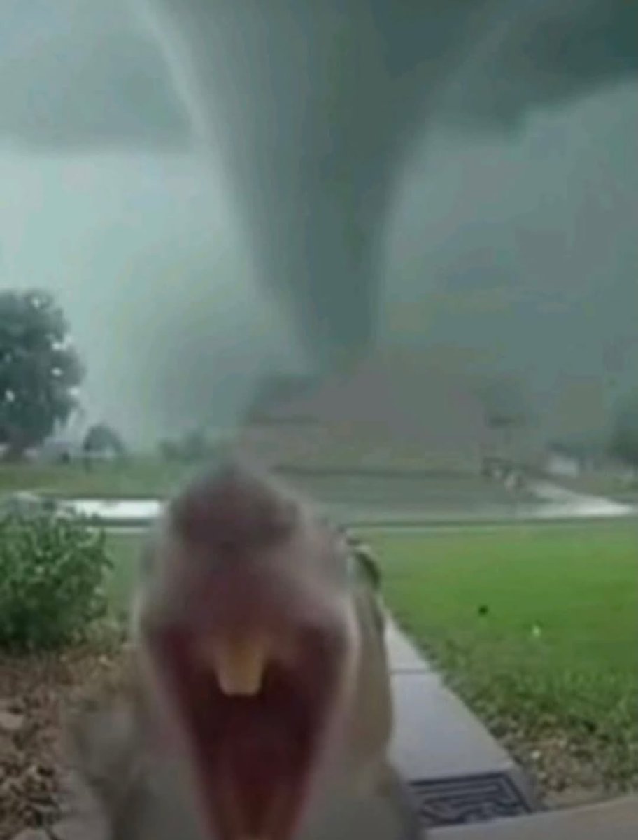 oagi.