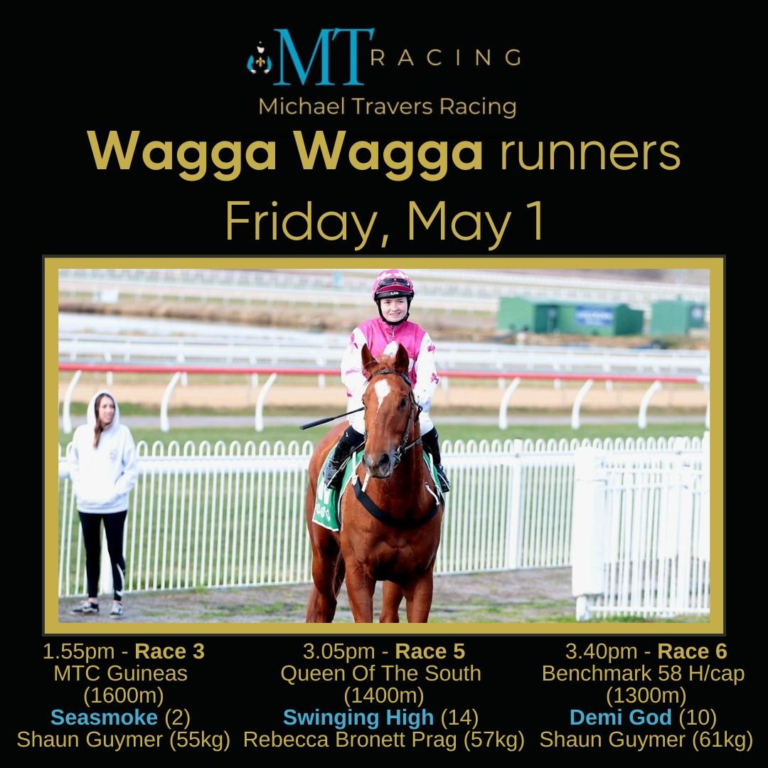 TraversRacing's tweet photo. Seasmoke, Swinging High and Demi God take on the 2nd day of the Wagga Gold Cup carnival.

Good luck, Shaun, Rebecca and connections. https://t.co/gx9gZEh4fM