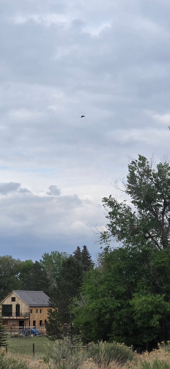 OG_SmittyWang's tweet image. FOCO mostest
#FortCollins #FoCo #FortCollinsCO #VisitFortCollins