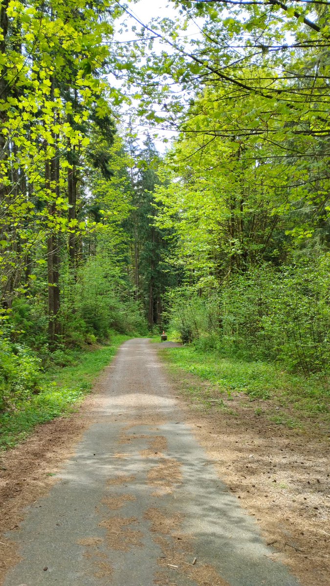 keeith_simple's tweet image. Being in maple ridge was 
kinda fun today 
#lowermainland #bc #mapleridge