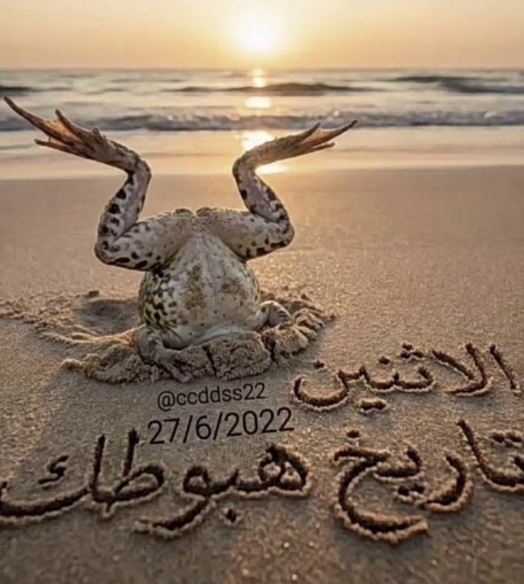 عزّالعالمي tweet media