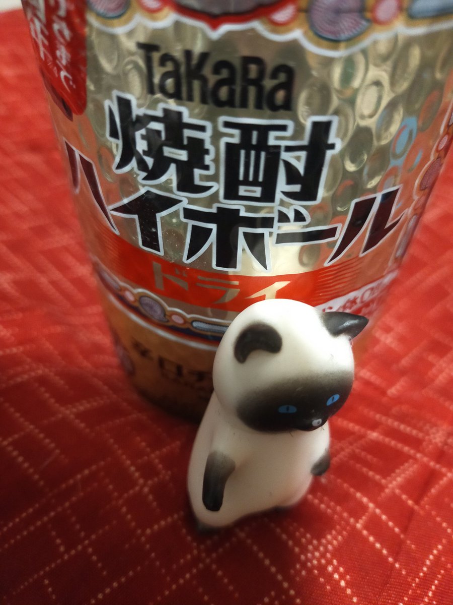 猫G. @Project.G tweet media