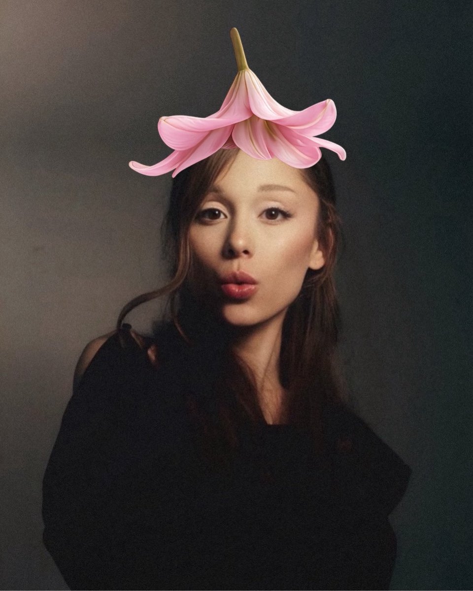 katelyn ꕤ｡˚⋆ tweet media