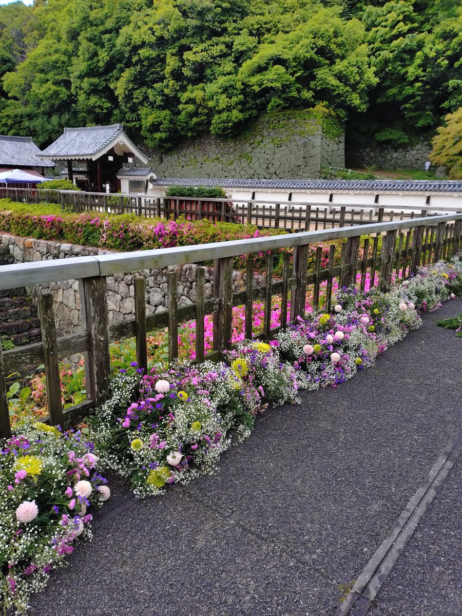 松山城【公式】 tweet media