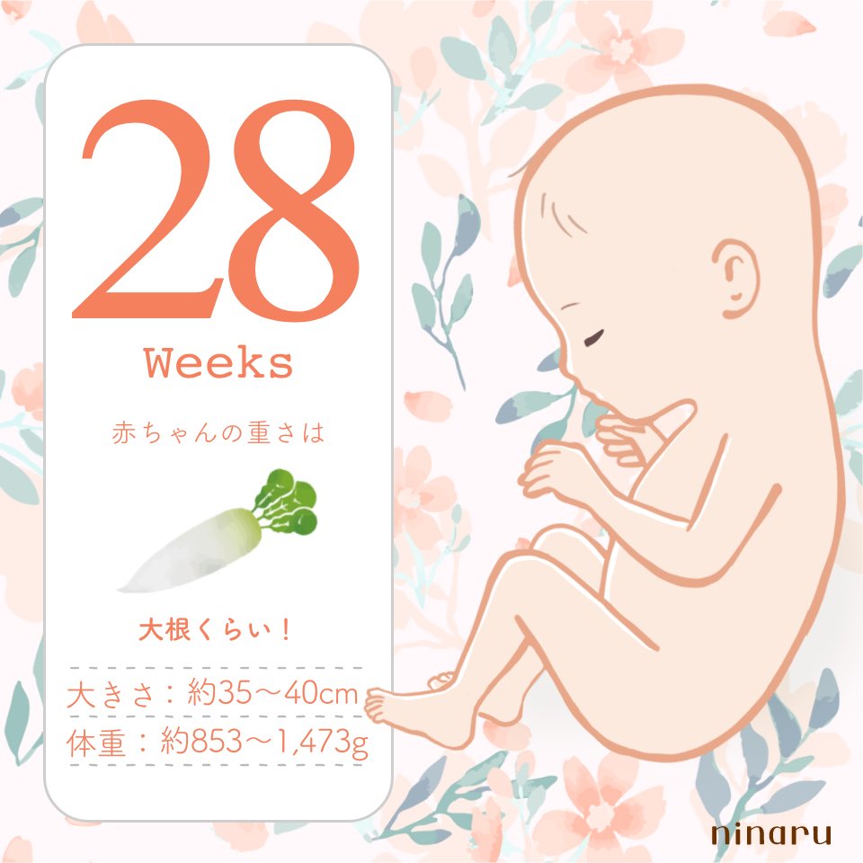 てん☺︎︎︎︎28w🎀 tweet media