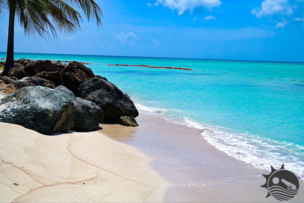 DTACITHA's tweet photo. #TourismThursday

Have you seen the new additions at #PigeonPointHeritagePark? 👀

Bright, clearly marked safety booms are now in place, helping to define designated swimming zones and create safer separation between sea bathers and watercraft.
#Tobago https://t.co/kdJyaMsbMY
