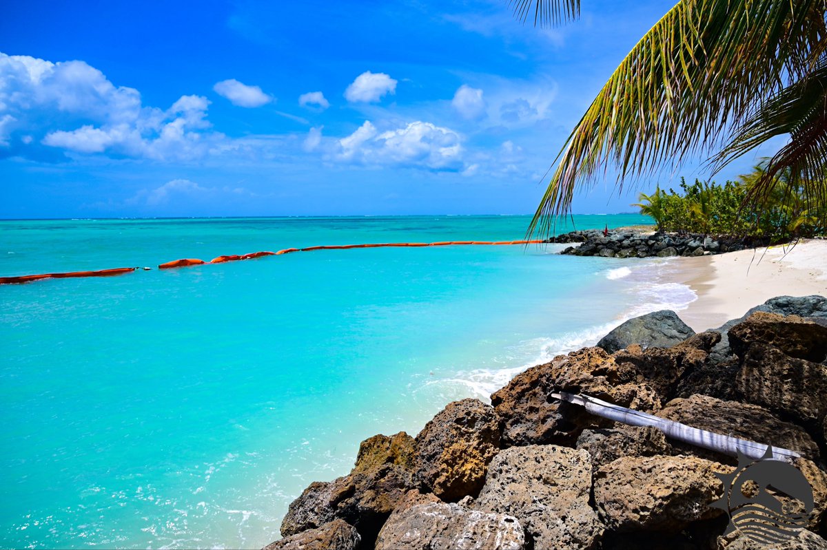 DTACITHA's tweet photo. #TourismThursday

Have you seen the new additions at #PigeonPointHeritagePark? 👀

Bright, clearly marked safety booms are now in place, helping to define designated swimming zones and create safer separation between sea bathers and watercraft.
#Tobago https://t.co/kdJyaMsbMY