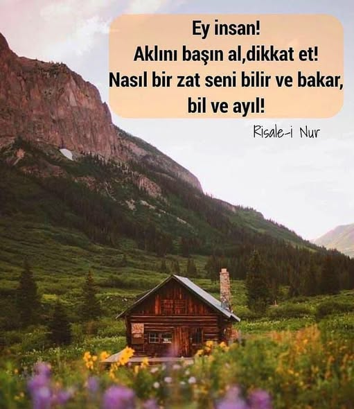 Şehri YILMAZ tweet media