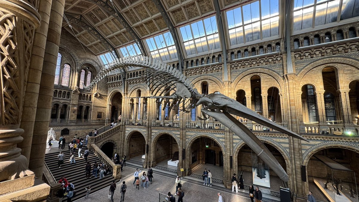 nabruolv's tweet photo. hj eu andei 14km me perdendo por Londres, entrei no museu de graça e vi o pôr do sol na rua https://t.co/kc5EvqrX9S