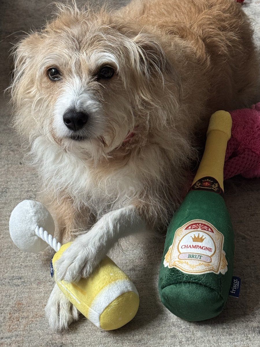 DeuxChien tweet media