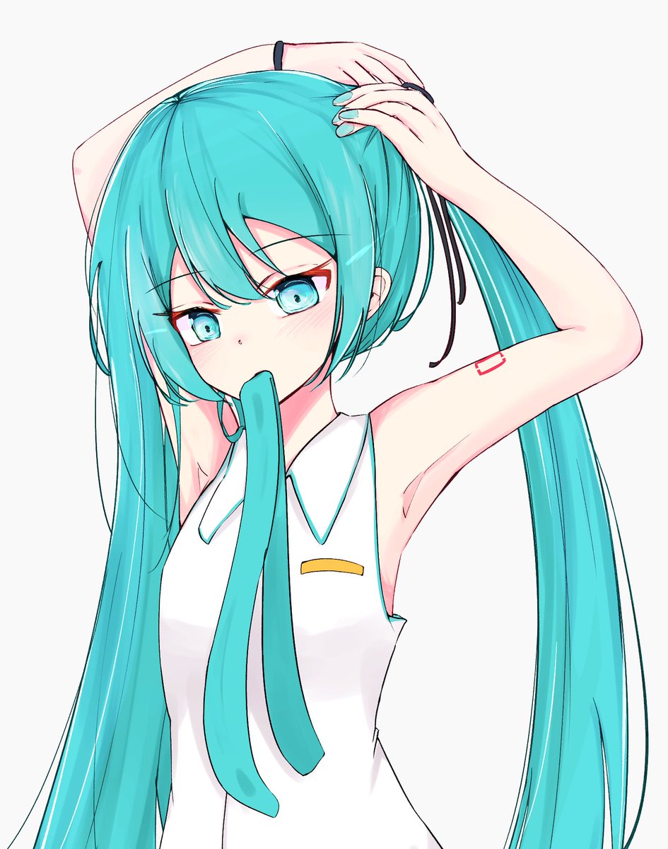 ミクさんツインテ準備中