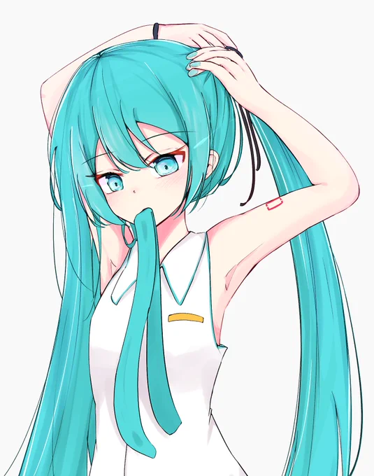 ミクさんツインテ準備中