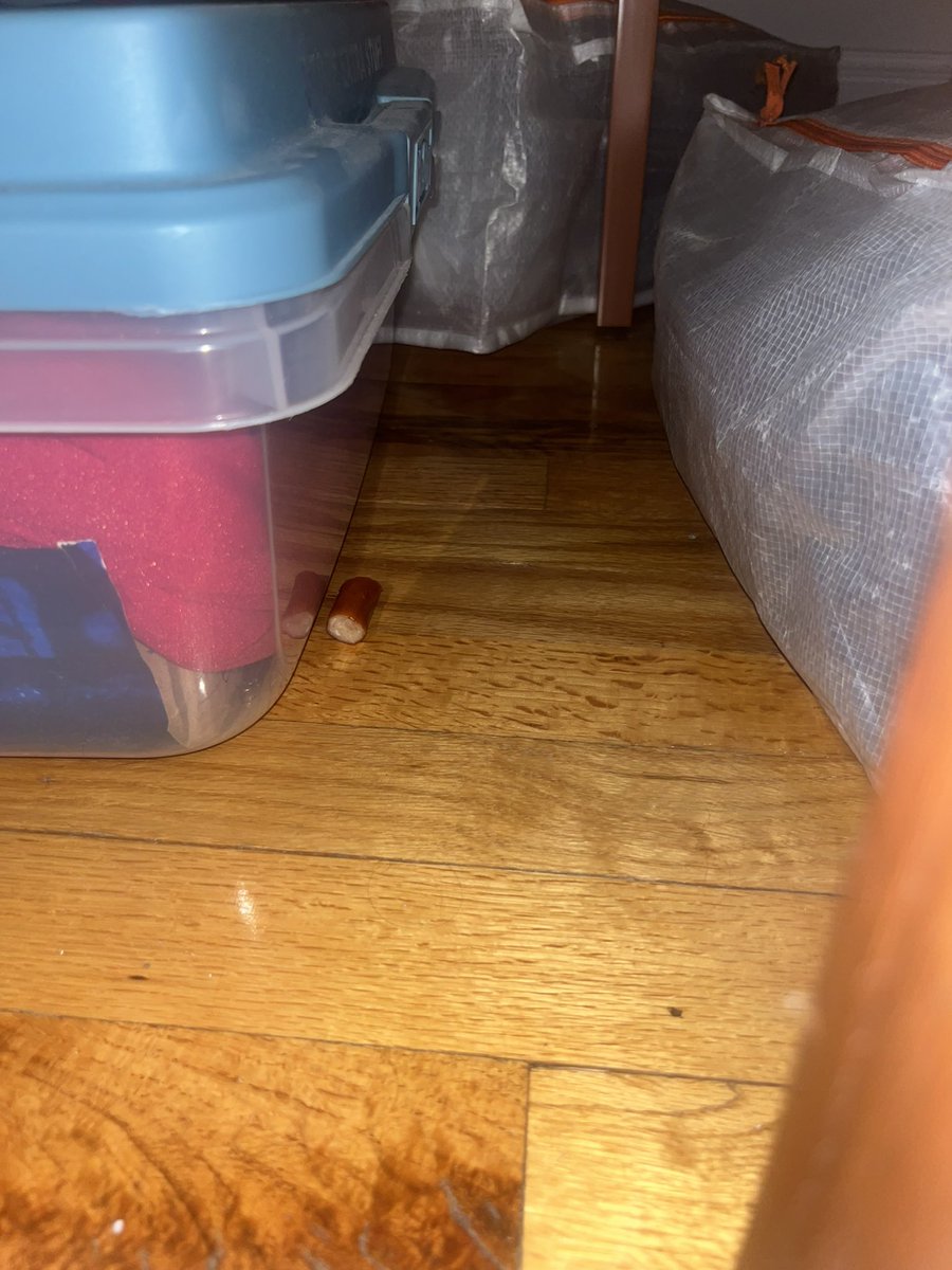 salvagedoo's tweet photo. Dropped my smoked turkey weenie and had to take a flash photo to see under the bed https://t.co/9e1l8eAdrU