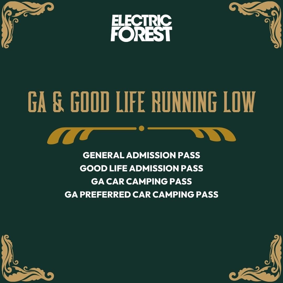 Electric Forest ⚡🌲 tweet media