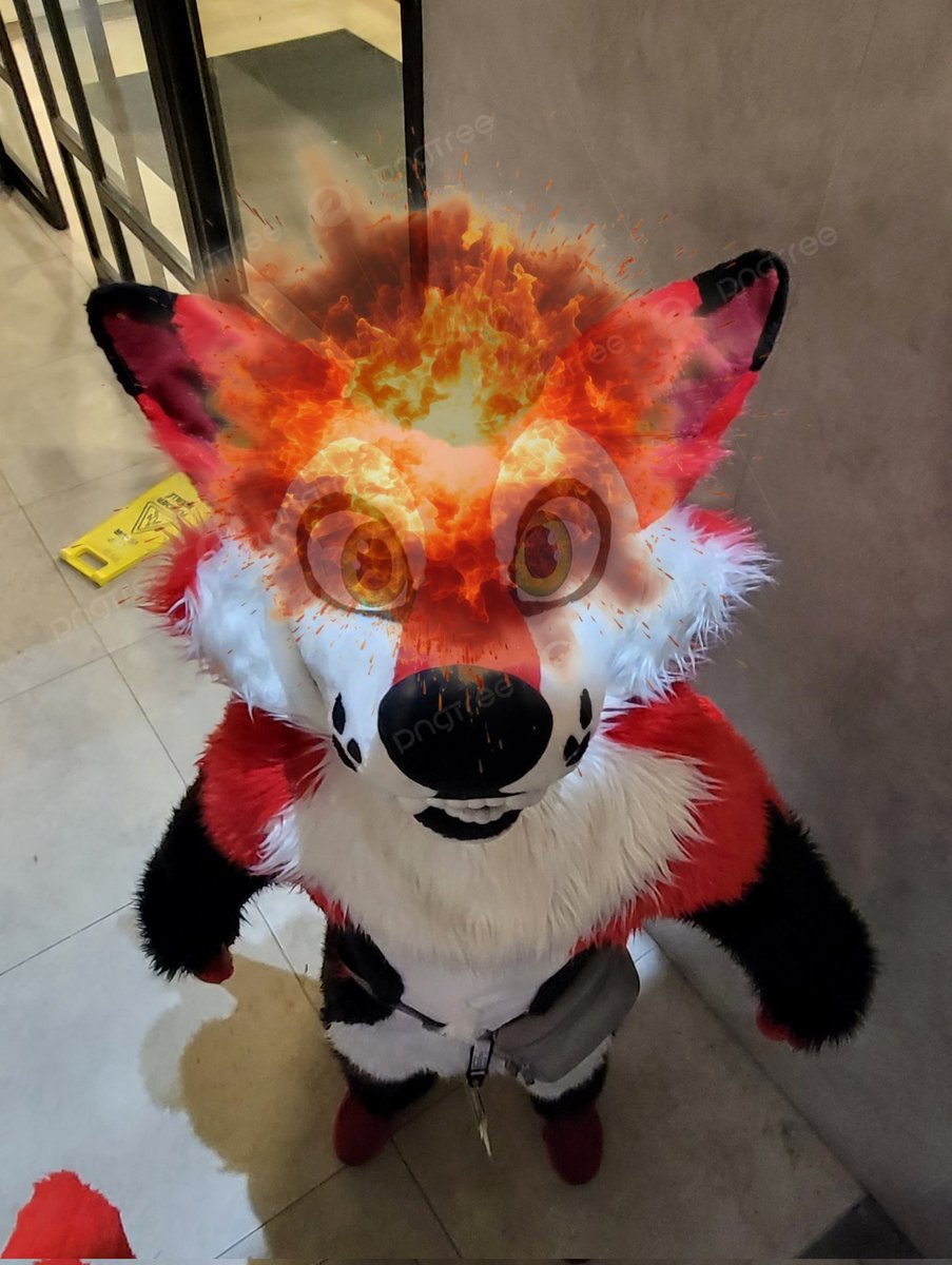 🥞GNAR THE PANCAKE YOTE🥞 tweet media