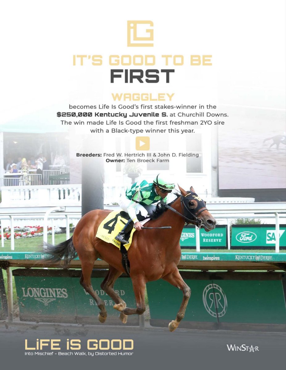 TDN tweet media