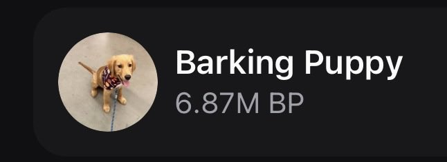 TheRealBarkingPuppy tweet media