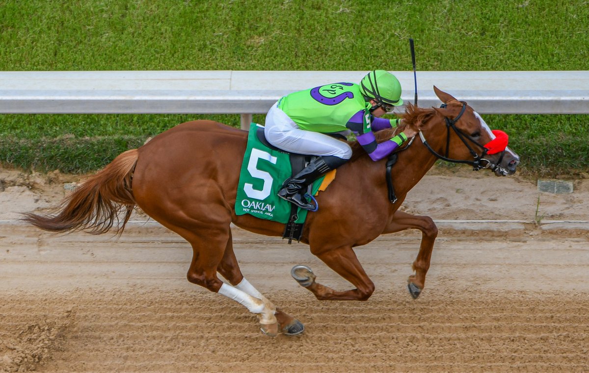 RobertYates1982's tweet photo. No. 3 @OaklawnRacing &amp; No. 3 overall for @sarah_shaffer_ as Stephens Dream ($37.60) takes the Thursday nightcap. @JosephBealmear for Sara Patterson. https://t.co/JIU3llV53Z