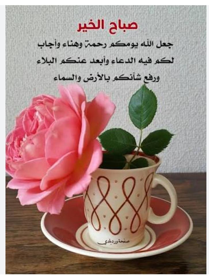 أم عمار السناني tweet media