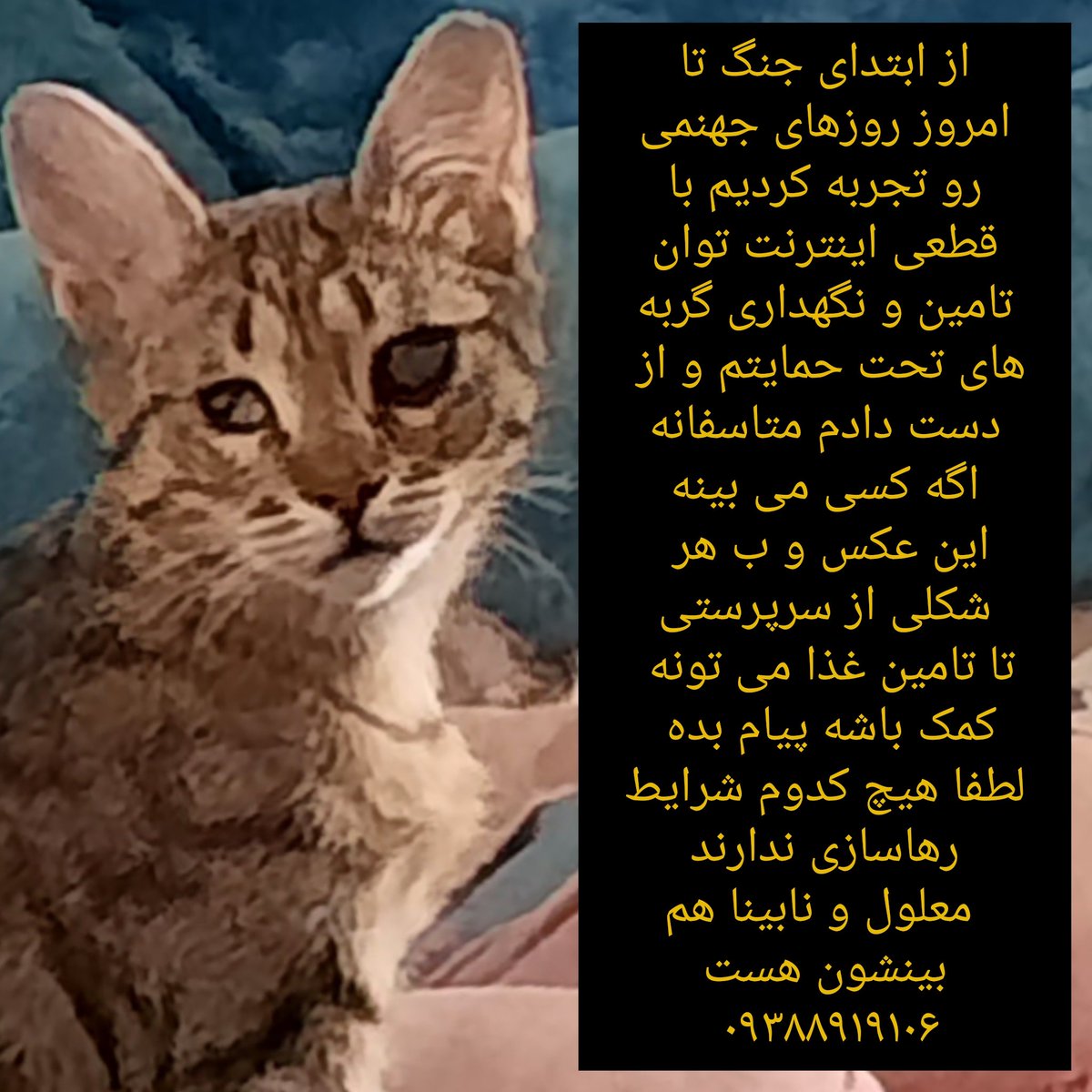 جای خواب ایو tweet media