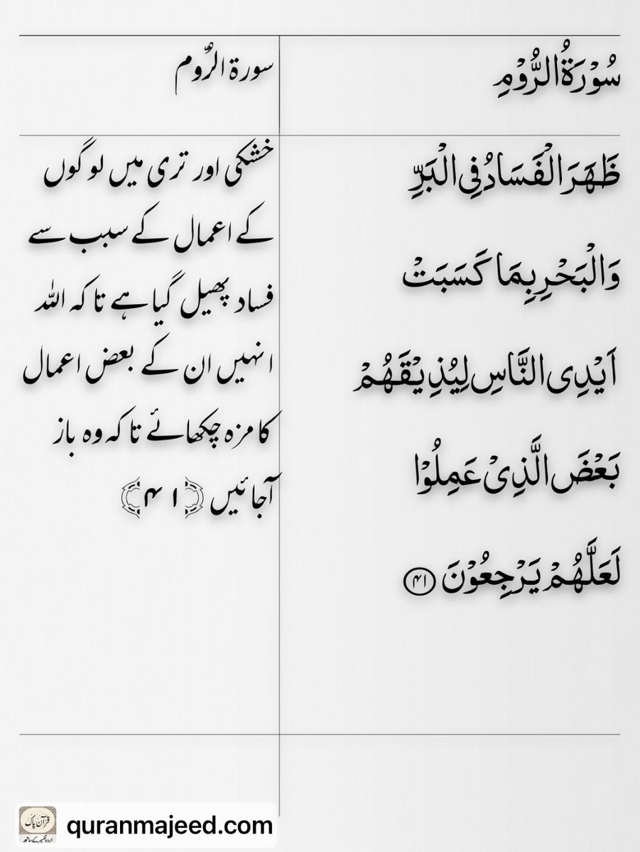 آمنہ ملک ❤️🇵🇰 tweet media